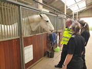 Picture 1: Commissioner visits 'horse HQ' on tour of mounted branch