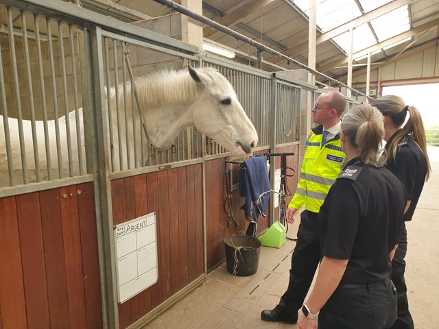 Picture 1: Commissioner visits 'horse HQ' on tour of mounted branch