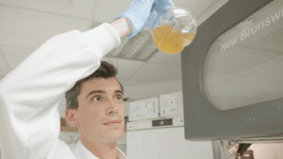 What a relief! Microbes transform plastic waste into paracetamol: A PhD student checks the growth of a culture of E. coli in the Wallace Lab. CREDIT University of Edinburgh-2