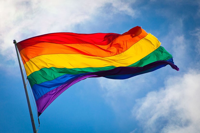 Youth groups get creative to celebrate LGBT+ History Month: rainbowflag.jpg