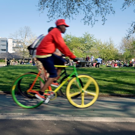Fourteen community groups have been recommended to receive funding