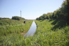 Moray Farm Cluster Nature Restoration Project 2 - credit Moray Farm Cluster