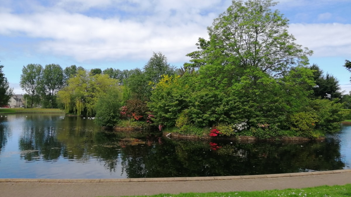 Cooper Park-9 cropped