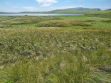 Crofting land at Spiggie (c) Nathalie Pion: Crofting land at Spiggie (c) Nathalie Pion