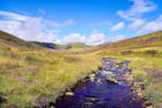 The soil survey will help to identify where future tree planting may be more successful.: The soil survey will help to identify where future tree planting may be more successful.