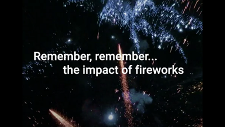 Fireworks Safety - Consider Others
