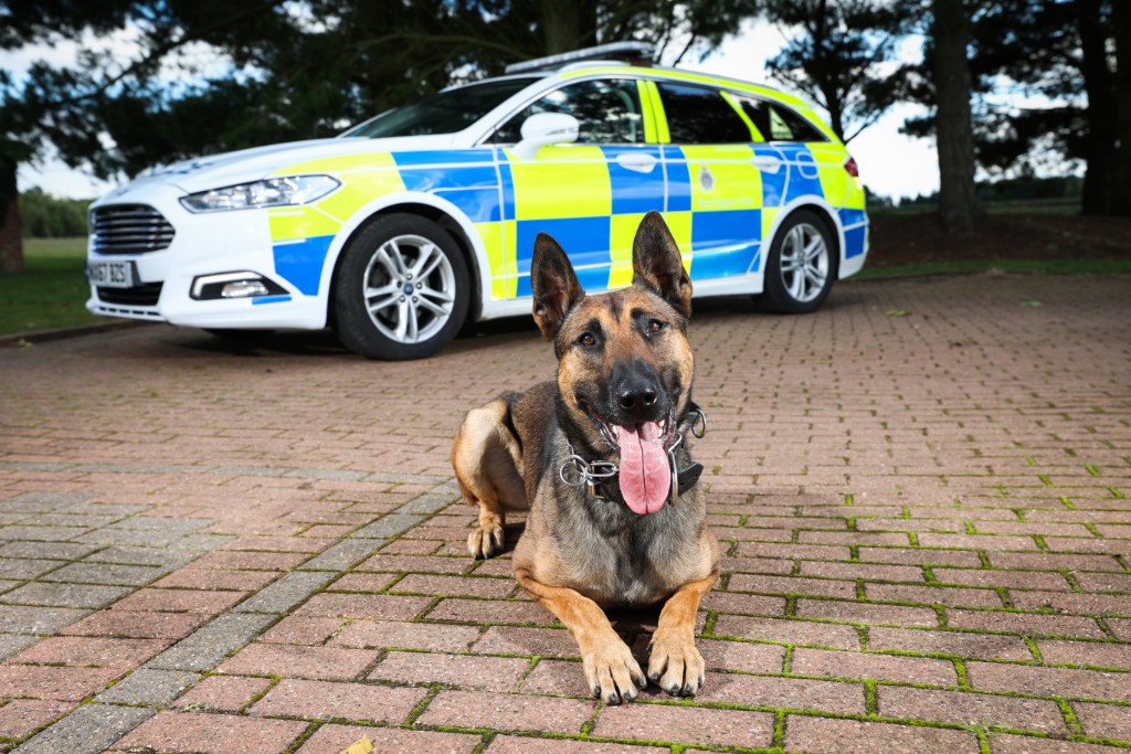 Public consultation on NPCC Police Dog Standard