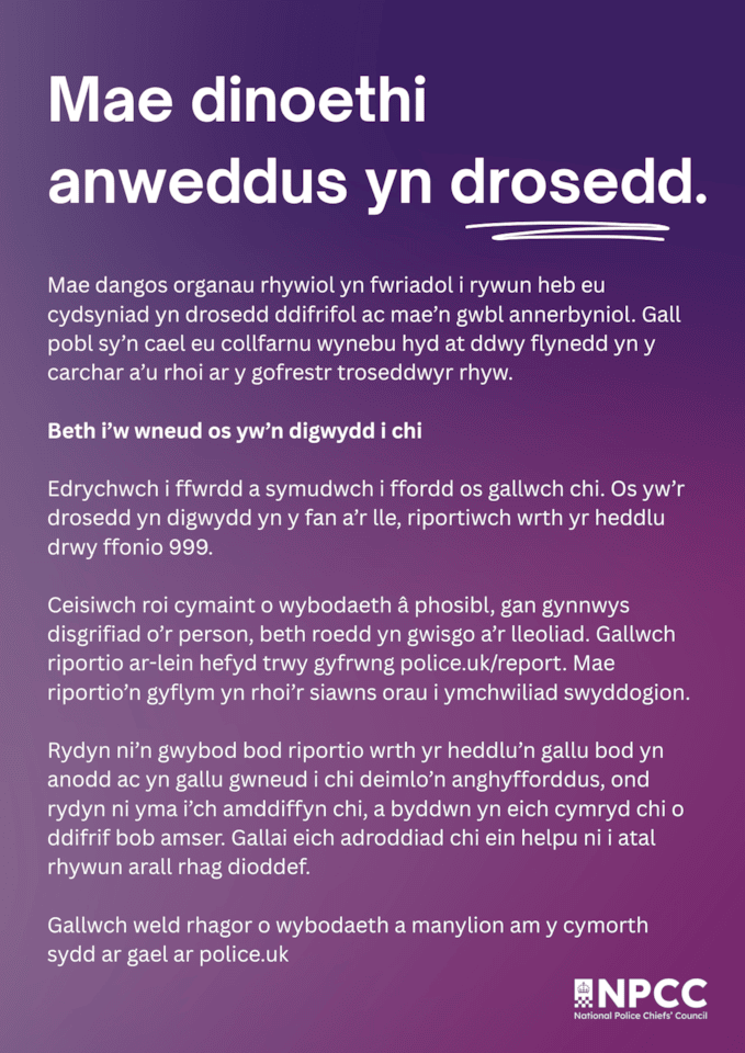 Leaflet Welsh (1)