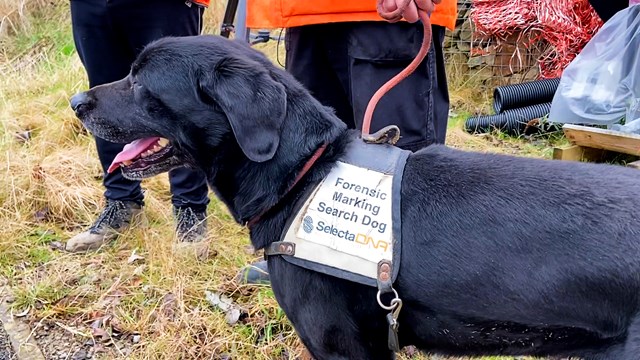 Sniffer dogs join fight against Midlands and Chiltern main line metal thieves: Ronnie the sniffer dog having a break from duty
