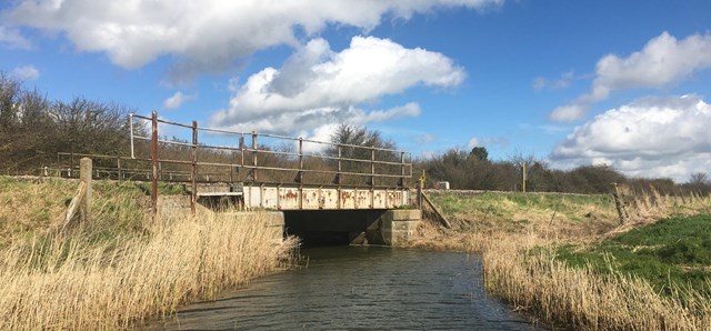 Creek River Bridge