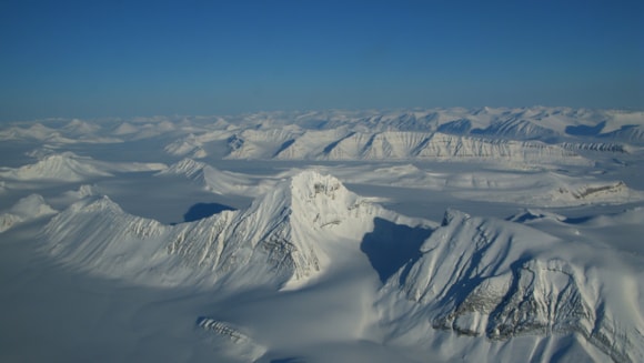 Cruising for clues: discovering invasive species in the Arctic with eDNA: 10010739 (1)