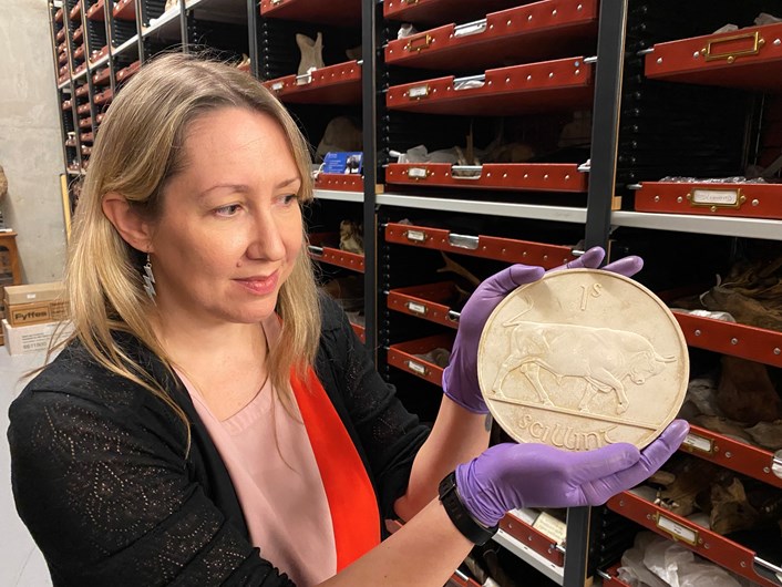 Money Talks: Kat Baxter, curator of archaeology and numismatics, holds a plaster model of a shilling from Ireland, dating from before 1928.  The sculptor, Percy Metcalfe, designed the Irish Free State coinage of 1928. Some of his designs featured animals important to Ireland’s economy, such as the bull, hare, salmon and Irish wolfhound.
