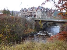 The site of the planting in Braemar ©Mike Smedley SNH