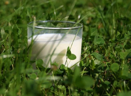 Glass of milk in grass