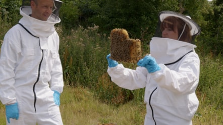 Lauren with bees