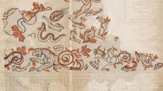 Lysons Smirke drawing of the sealife mosaic as recorded in the 19th century.                        