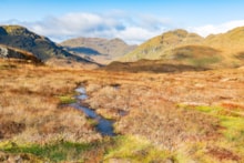 Peatland landscape near Loch Katrine, Loch Lomond & The Trossachs National Park. ©Ian McKee/NatureScot Peatland ACTION