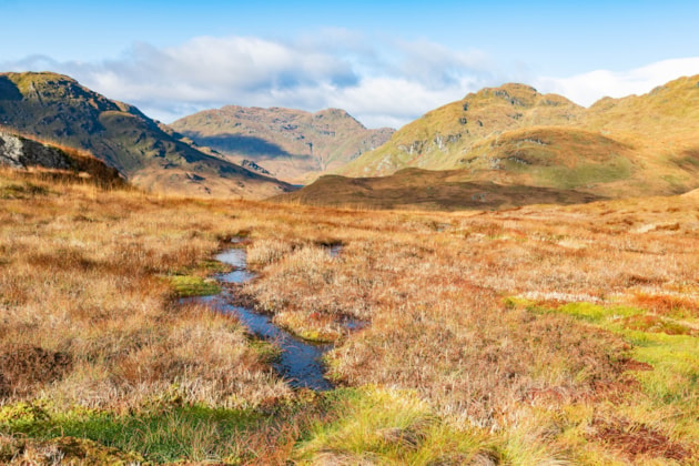 Peatland landscape near Loch Katrine, Loch Lomond & The Trossachs National Park. ©Ian McKee/NatureScot Peatland ACTION