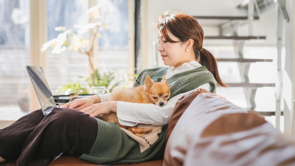 Woman on laptop with dog