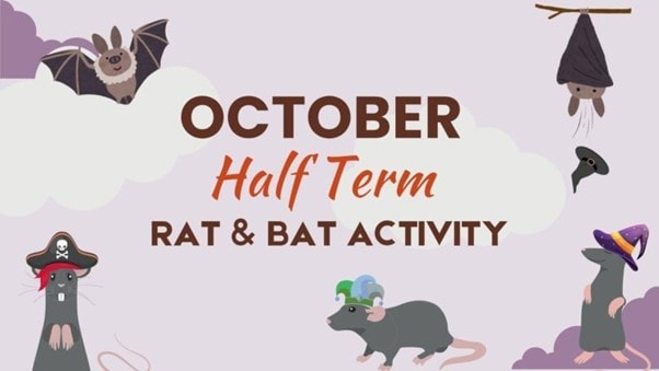 Rat and Bat