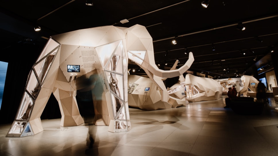Life-sized 3D model of a mammoth, featured in GIANTS. Photo (c) Fisheye (1)