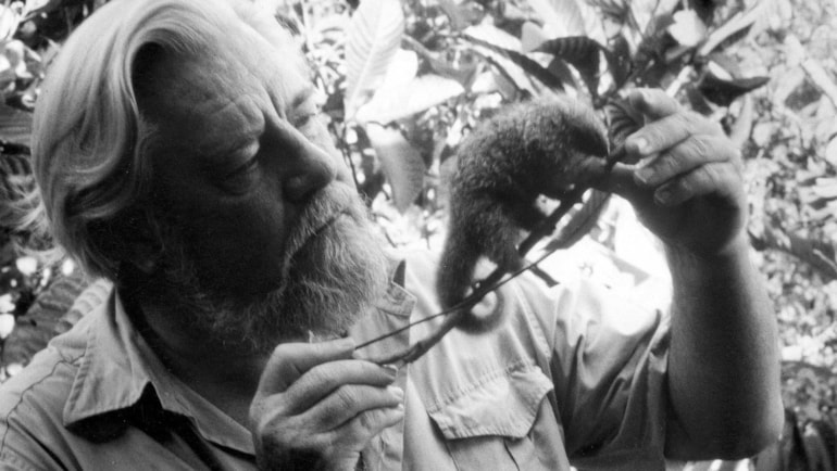 Rare specimen collected by celebrated naturalist Gerard Durrell is donated to National Museums Scotland