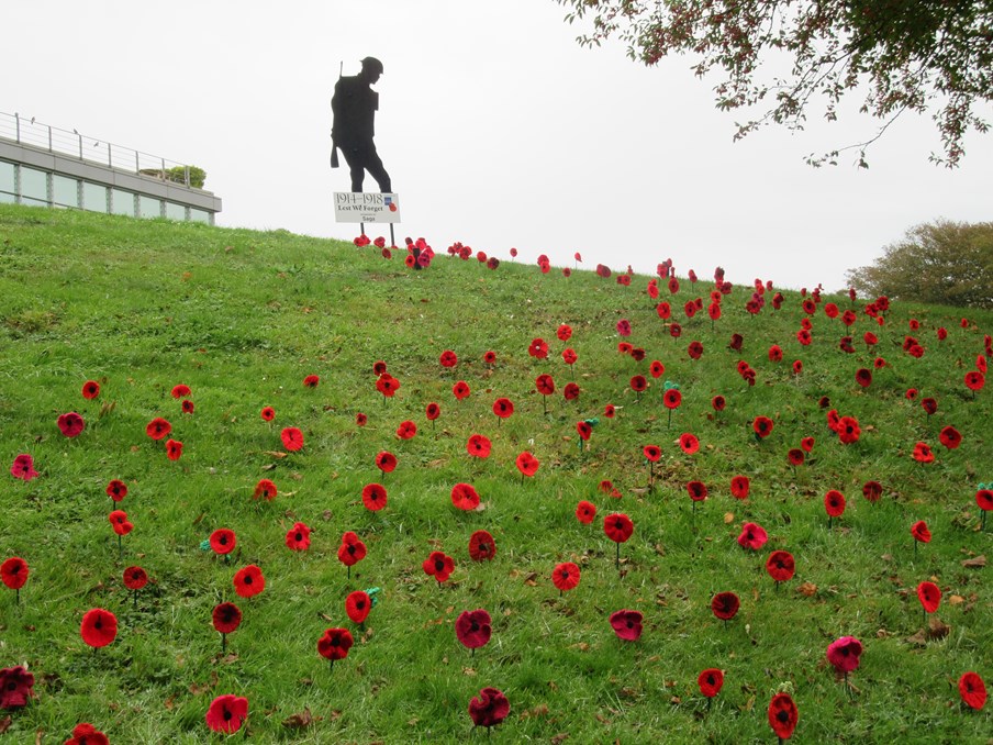 Over 500 hand-knitted poppies by Saga customers displayed at Saga’s Headquarters in WWI tribute: Remembrance Day field of poppies 3