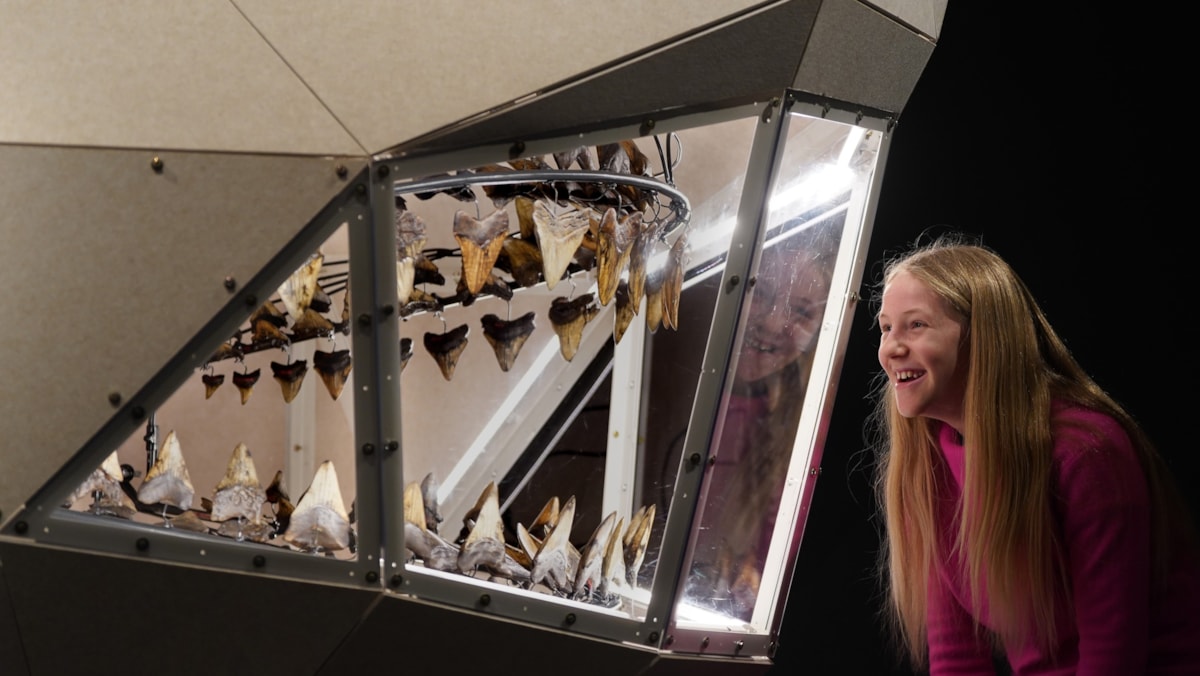 Connie Blacklaw (11)  meets a megalodon at the National Museum of Scotland’s exhibition Giants. Photo © Stewart Attwood cropped