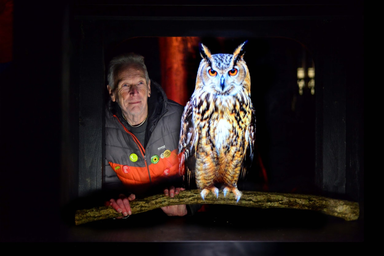 Bird Song (Owls) by Lou Chapelle: Lou Chapelle’s holographic installations at Leeds City Museum will be bringing to life three magnificent owls inspired by the owl on Leeds’ historic city crest