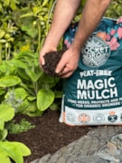 Mulch 1: Mulch 1