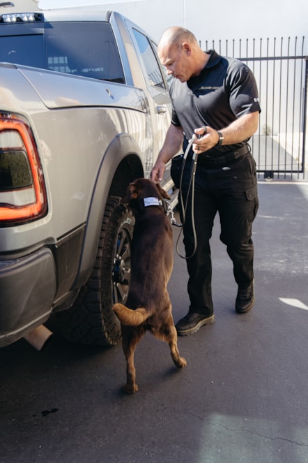 EPS Canine Search