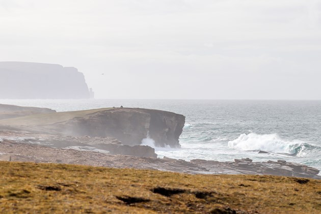 Damage to protected sites on Orkney caused by off-road motorbikes: Orkney - Yesnaby - Stromness Heaths and Coast SSSI - Credit Scottish Natural Heritage (SNH)