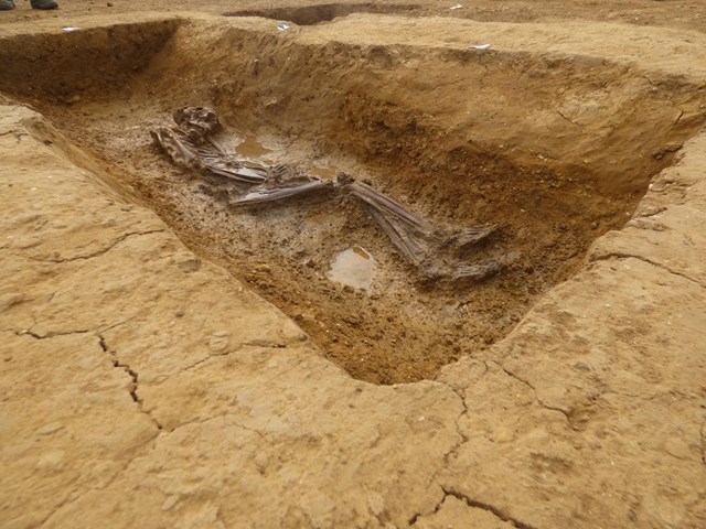 The excavated burial (3) ©MOLA Headland Infrastructure