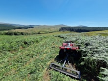 Cairnsmore of Fleet NNR – Cutting bracken below the Clints of Dromore ©Fraser Wilson/NatureScot