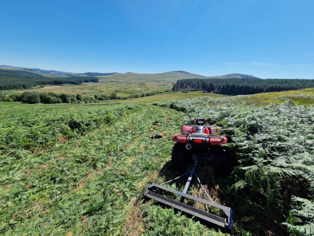 Cairnsmore of Fleet NNR – Cutting bracken below the Clints of Dromore ©Fraser Wilson/NatureScot