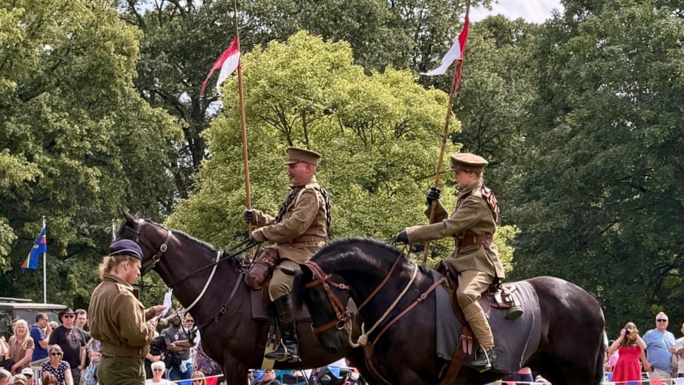 Cavalry display2