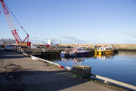 Councillors praise Buckie harbour investment plans