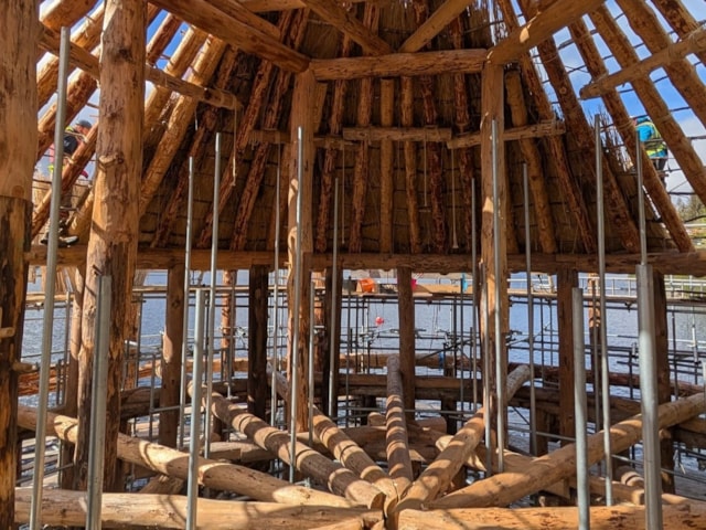Hundreds of hand-felled larch trees ranging in size from between 10m and 2m have been used in the crannog reconstruction. Image Andrew Allan