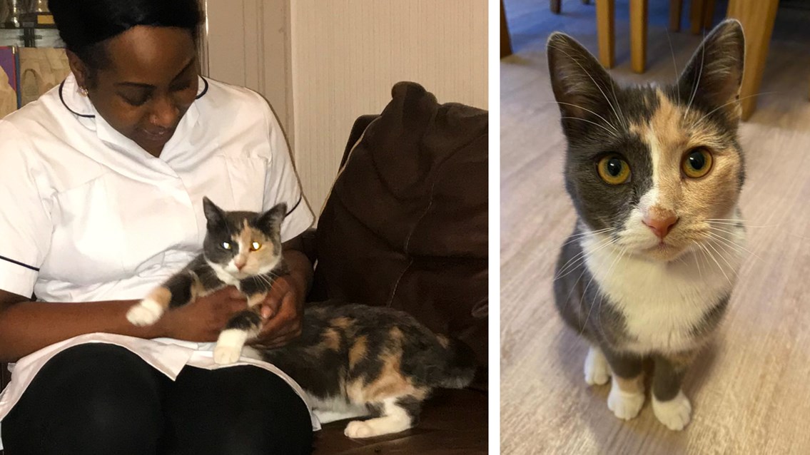 Cat-astrophe averted: missing moggy’s Purr-mingham New Street adventure: Chantelle Campbell and Storm reunited