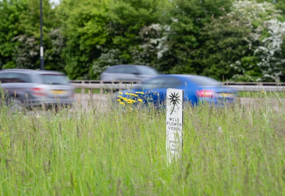 TfL delivers pledge of doubling wildflower verges in roadside areas to encourage more biodiversity to thrive in London: TfL image - Wildflower Sign