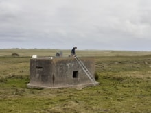 Converting disused pillboxes into tern habitat (c) RSPB Loch of Strathbeg