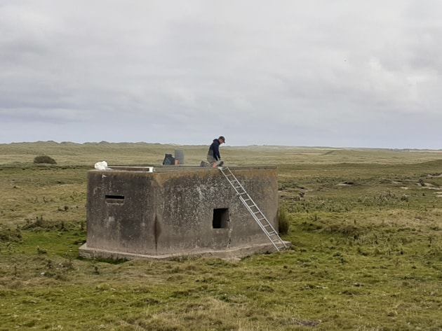 Converting disused pillboxes into tern habitat (c) RSPB Loch of Strathbeg