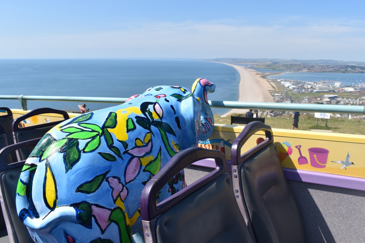 Ponty overlooking Chesil Beach