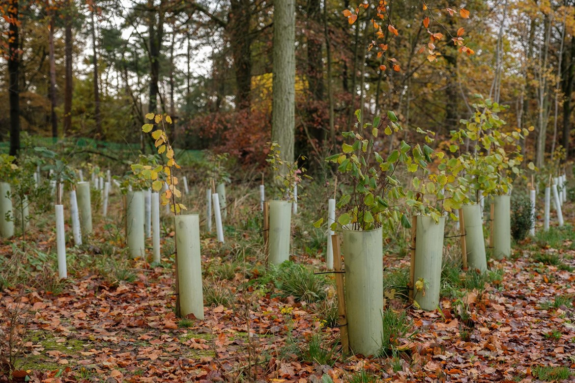 Wendover Woods Community Centre CEF November 2019