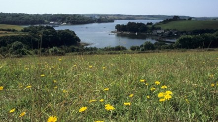 Churchtown Farm Community Nature Reserve