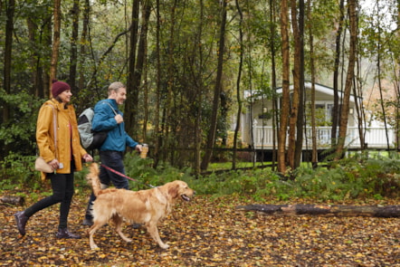 Dog walk at Wild Duck
