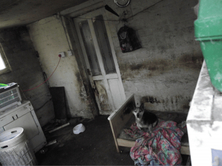 Oakley - Animal Welfare Case - Aug 2026