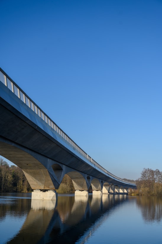 View of Colne Valley viaduct as it crosses Savay Lake (March 2025) 00004