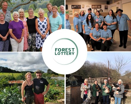 Forest Lottery 2021