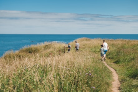 Berwick park walk